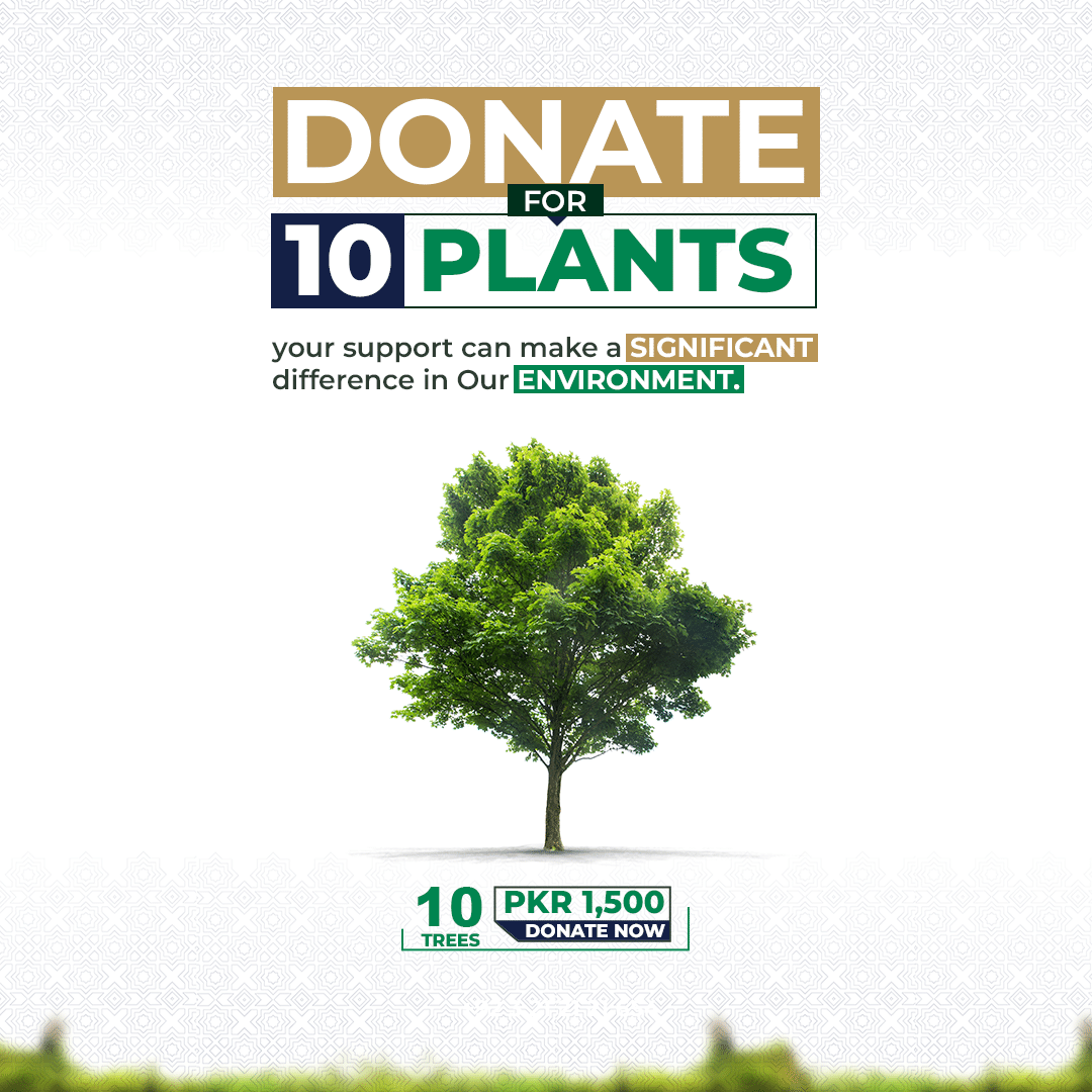 Tree Plantation Campaign