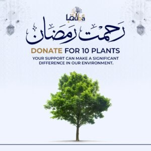 Tree Plantation Campaign