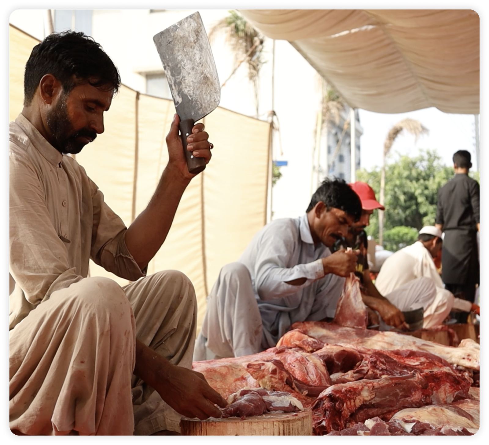 Waqf Qurbani