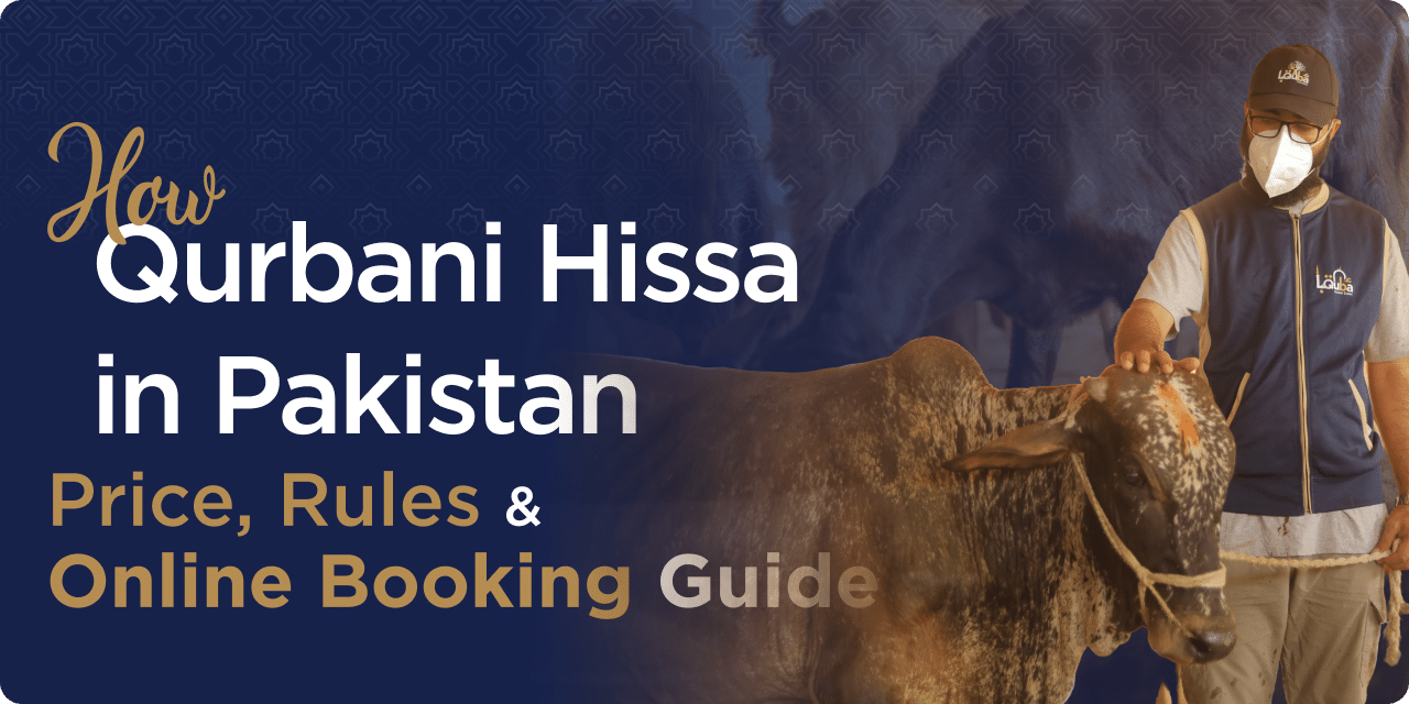 Qurbani hissa in pakistan price and guide poster - Quba Foundation