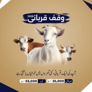 Waqf Qurbani