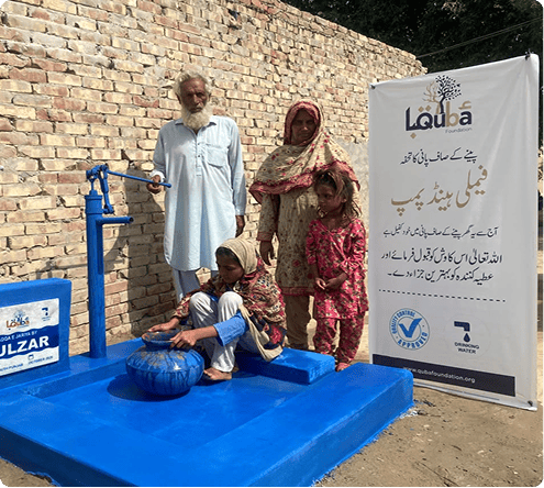 Family Water Pump for clean water